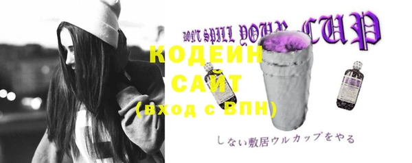 эйфоретик Каменка
