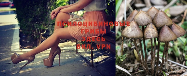 шишки Гатчина