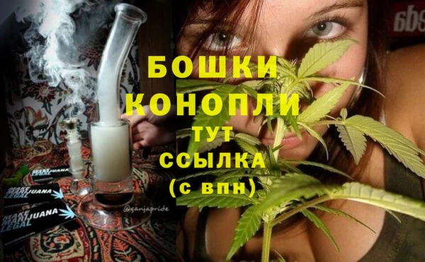 шишки Гатчина